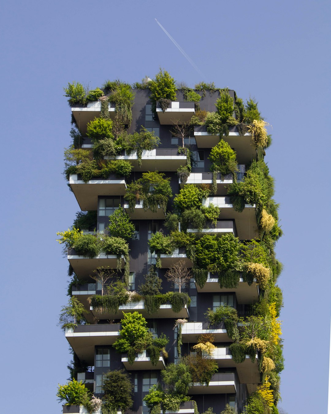 Net-Zero Family Home