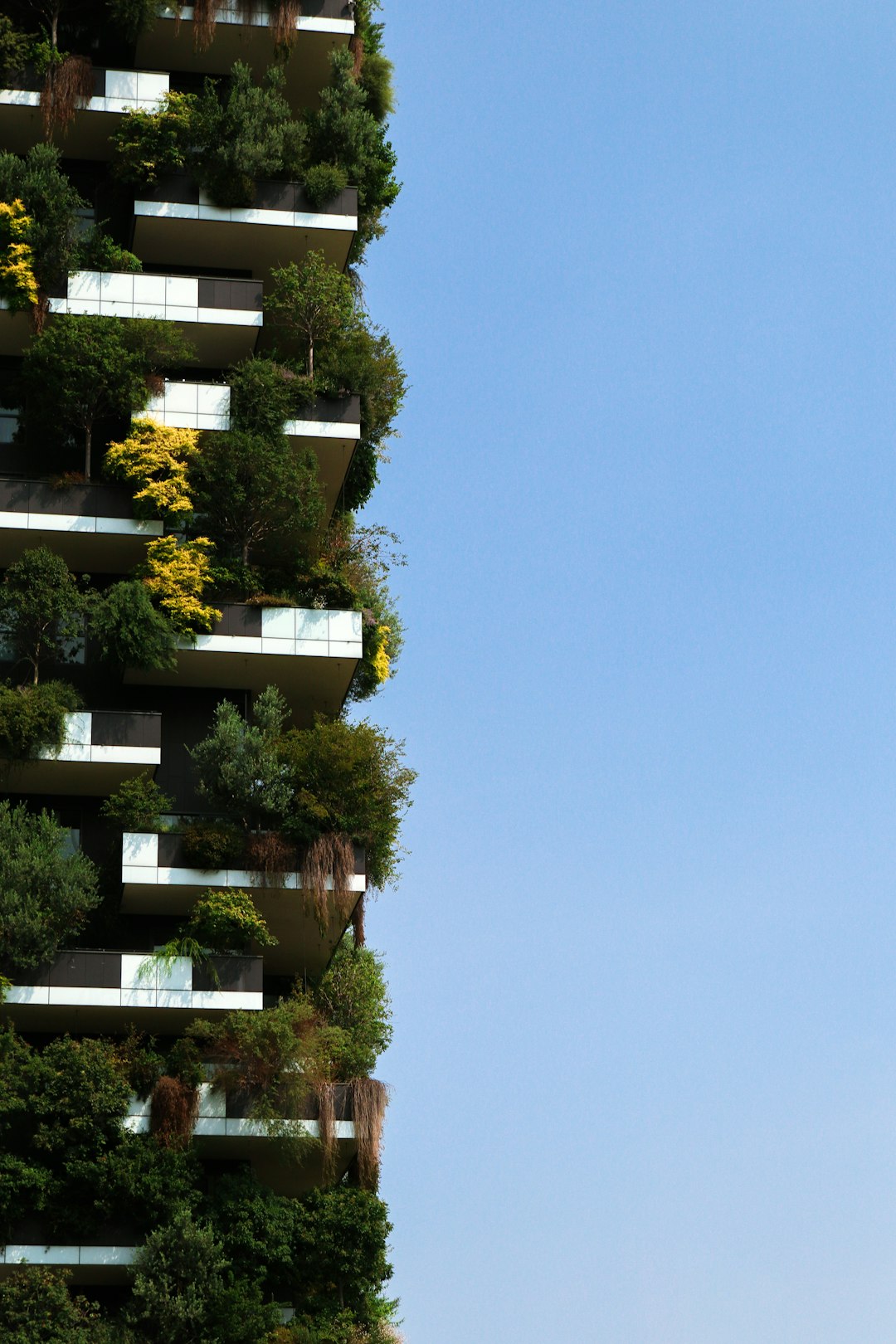 Eco-Friendly Family Residence